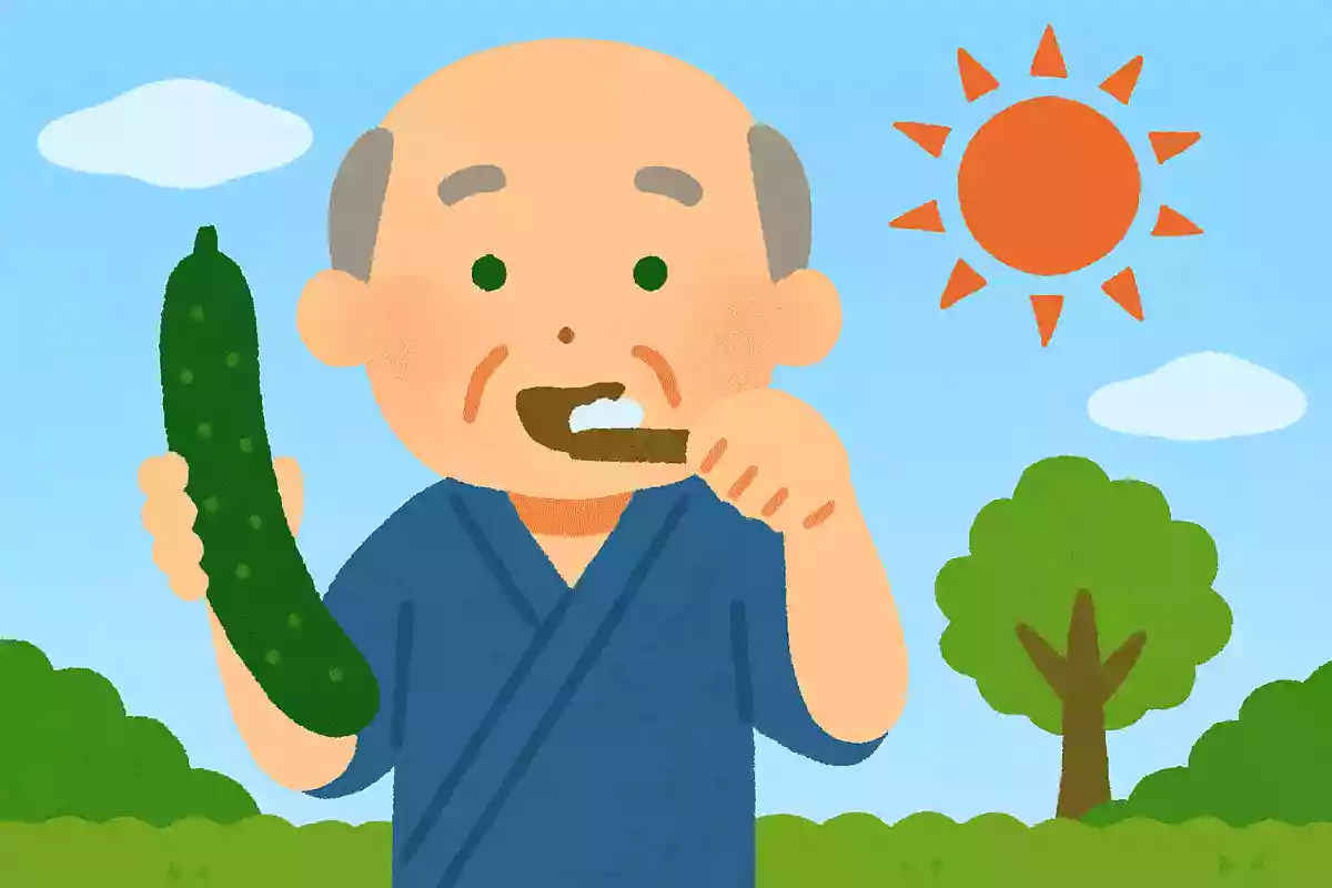 江戸時代に歯磨き粉として使用されていた夏野菜は何でしょうか？