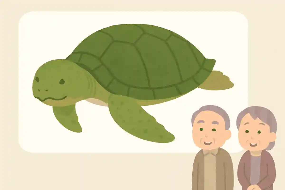 長生きすることで有名なウミガメですが、寿命はどのくらいでしょうか？