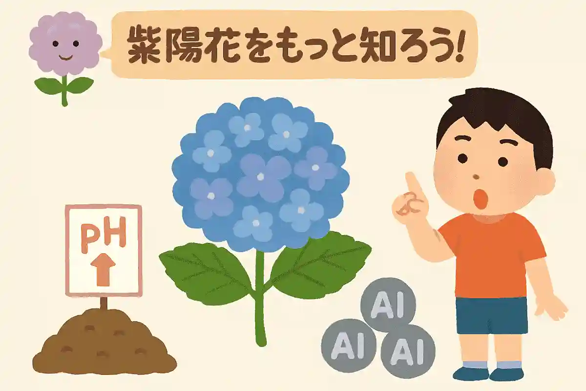 紫陽花の花の色は、土の何によって変わるでしょう？