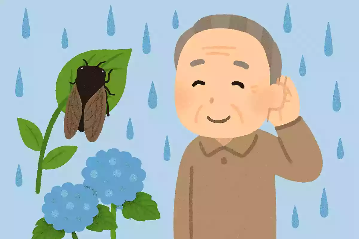 あるものが鳴ると「梅雨が明ける」と言われています。あるものとは何でしょうか?