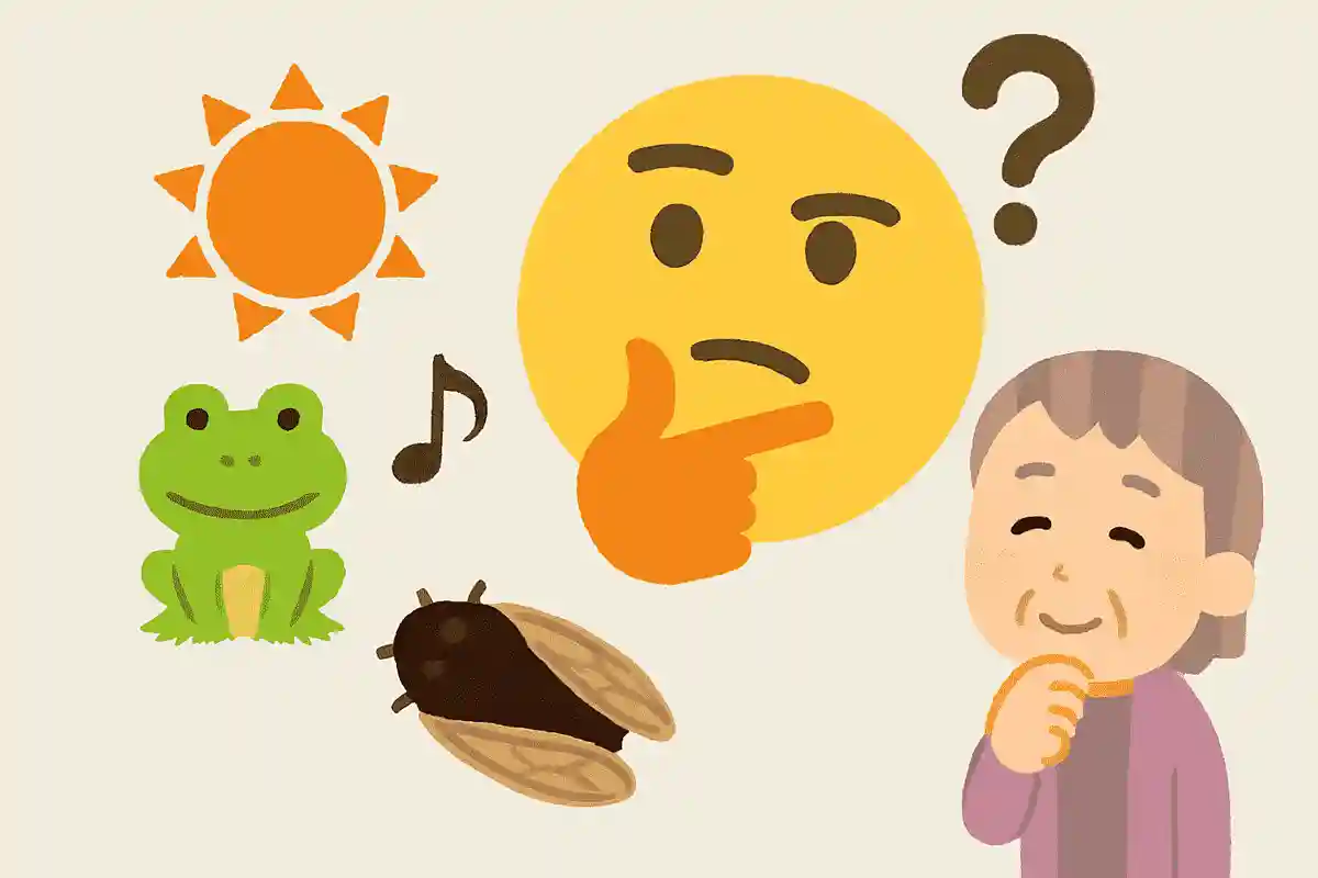 夏、鳴き声、短命