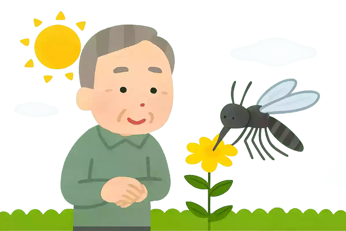 【高齢者向け】夏にまつわるクイズ。レクで盛り上がる面白問題まとめ