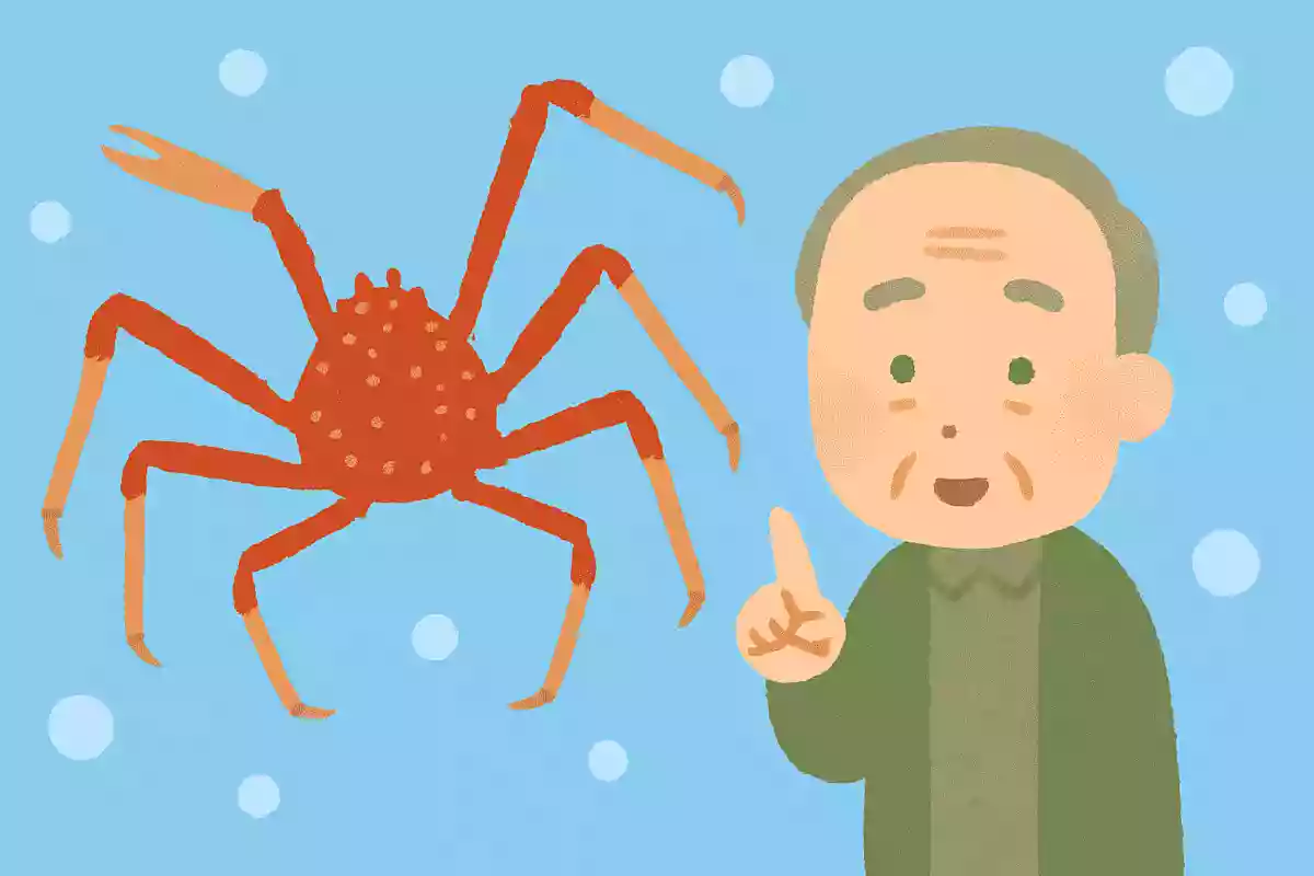 日本近海の深海に生息する世界最大級のカニ、タカアシガニ。その足はどのくらいの長さでしょうか？