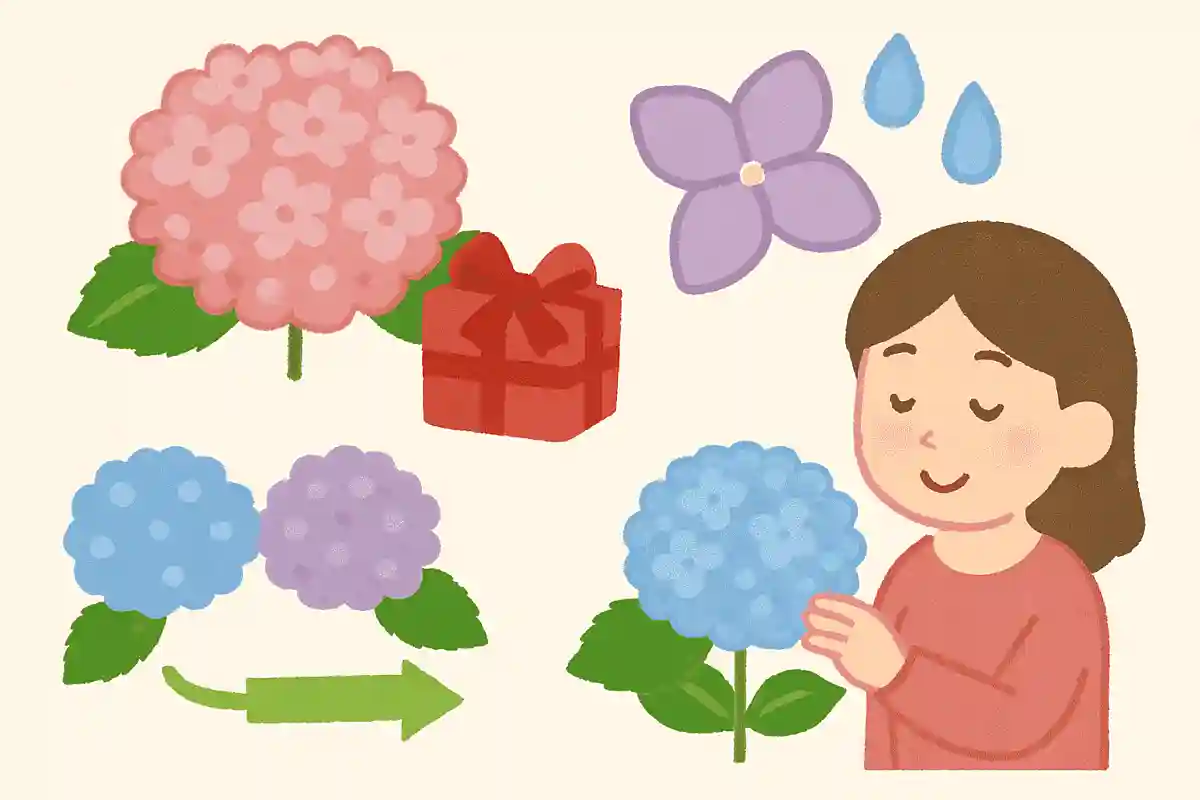 母の日に贈る花として人気