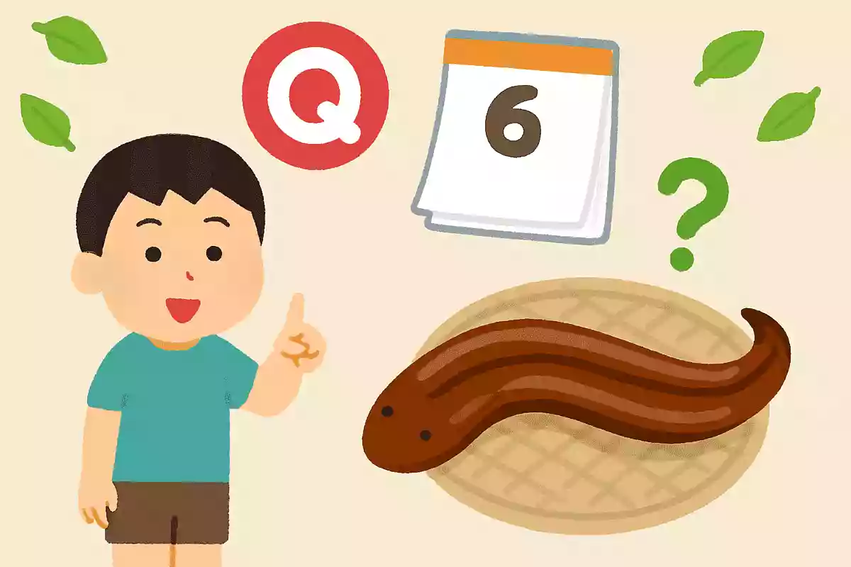 関西では夏至に何を食べるでしょう?