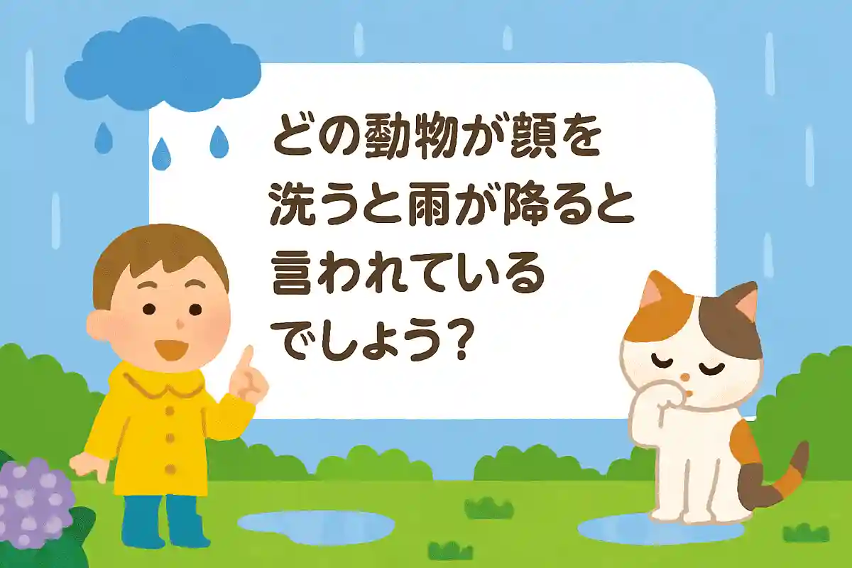 どの動物が顔を洗うと雨が降ると言われているでしょう？