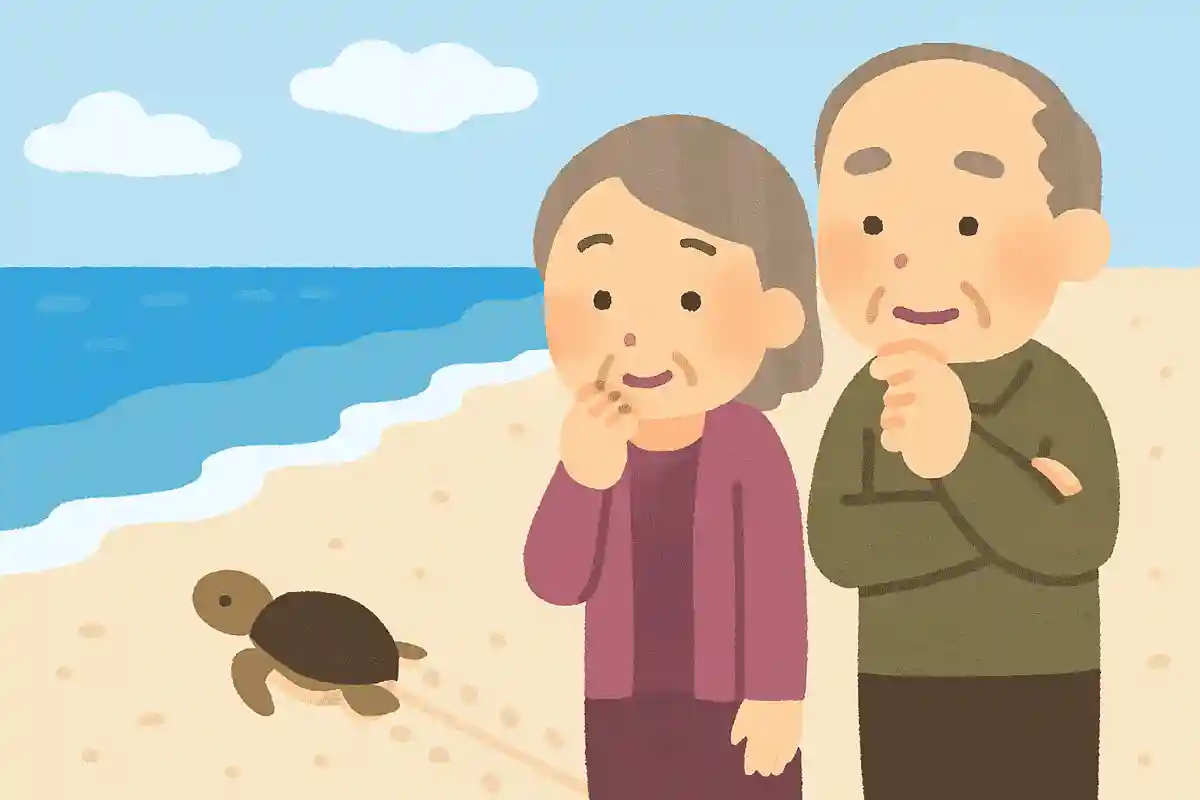 ウミガメの赤ちゃんは、砂浜に生まれるとすぐに海を目指します。さて、どうやって海の方向を知っているのでしょうか？