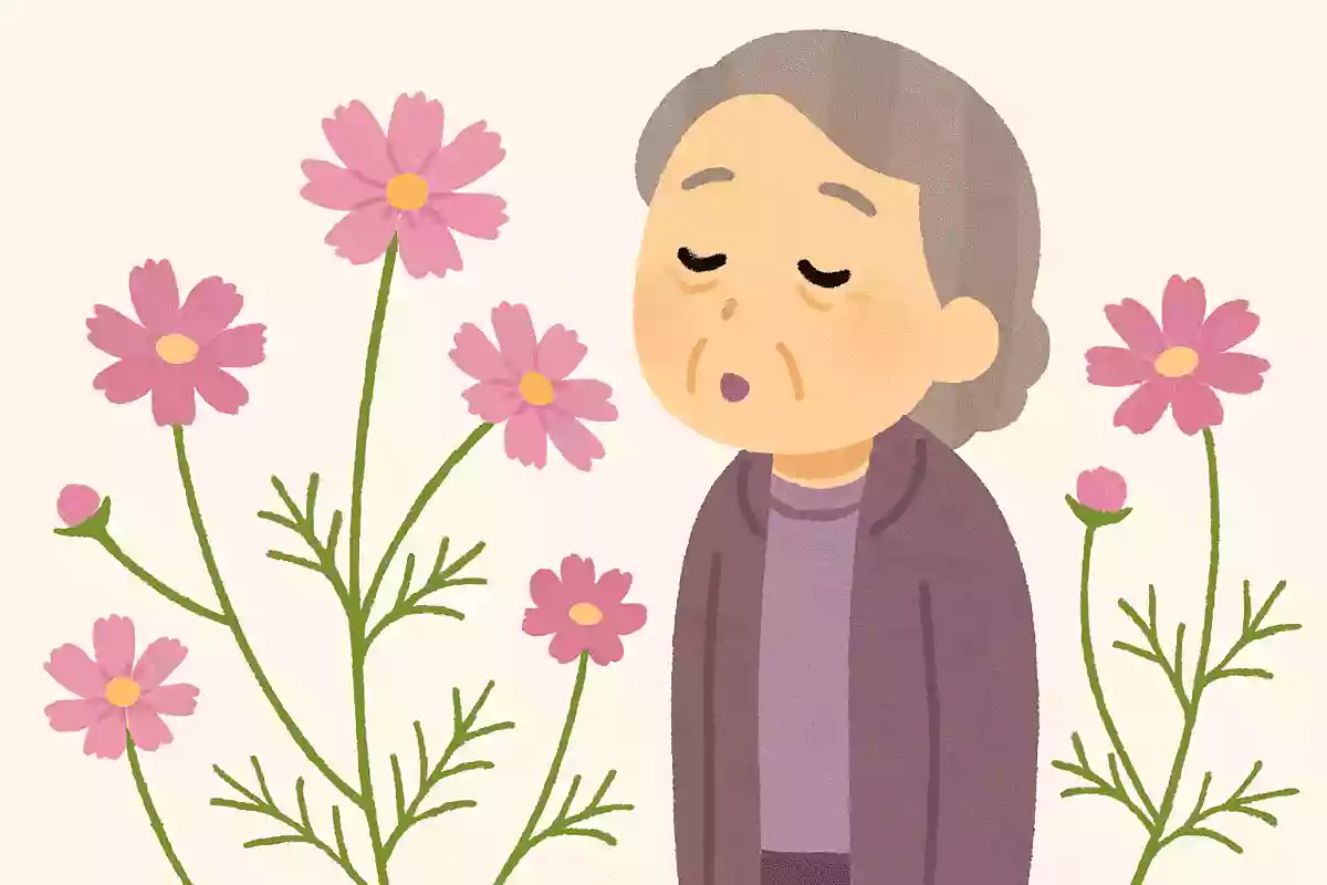 コスモスの 花ゆれて来て 唇に星野立子
