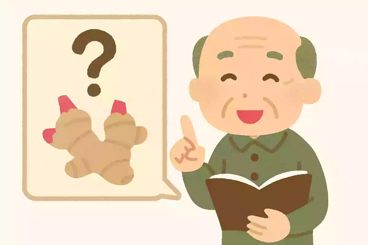 「Ginger(ジンジャー)」は日本語で何の野菜でしょうか