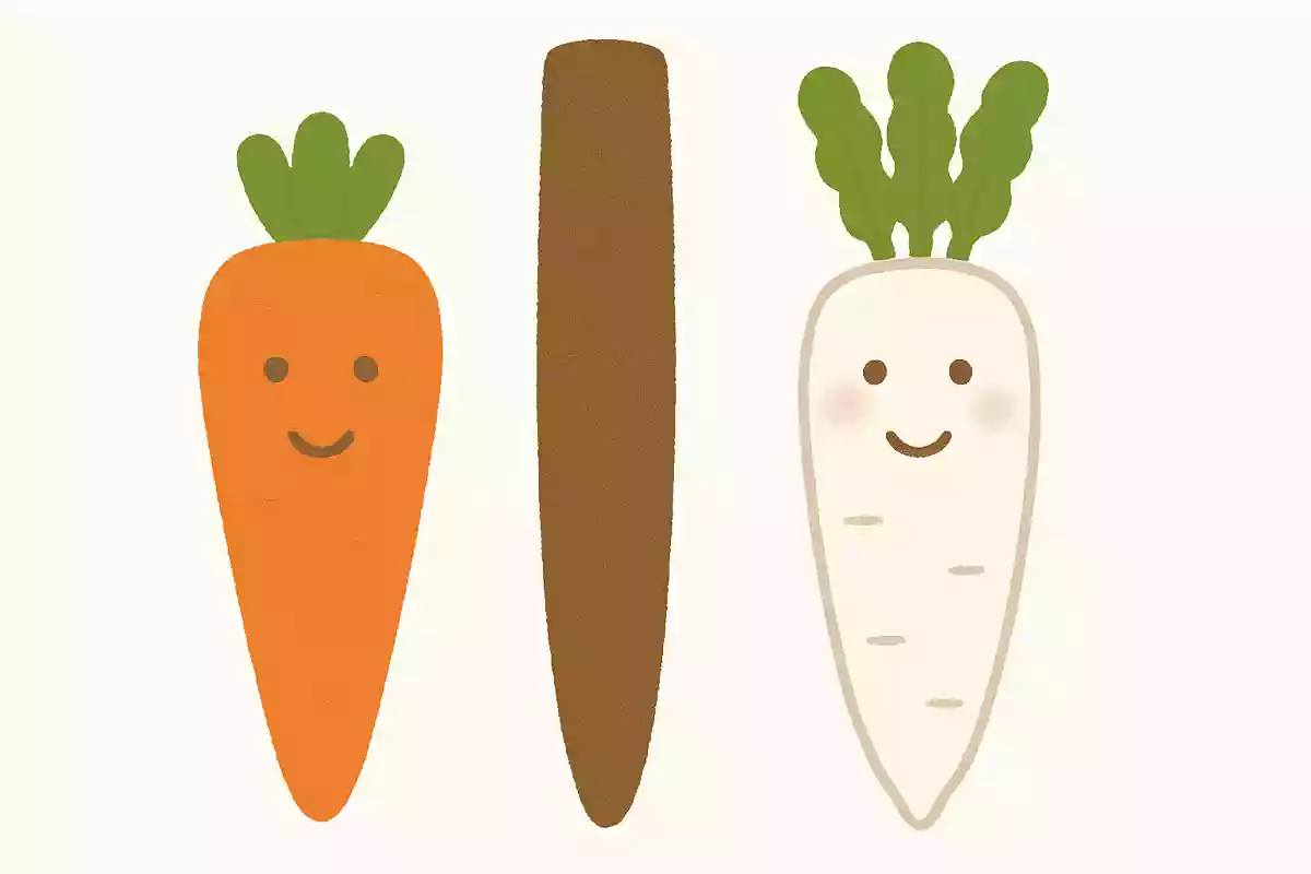 にんじん、ごぼう、大根を合わせると何さい?
