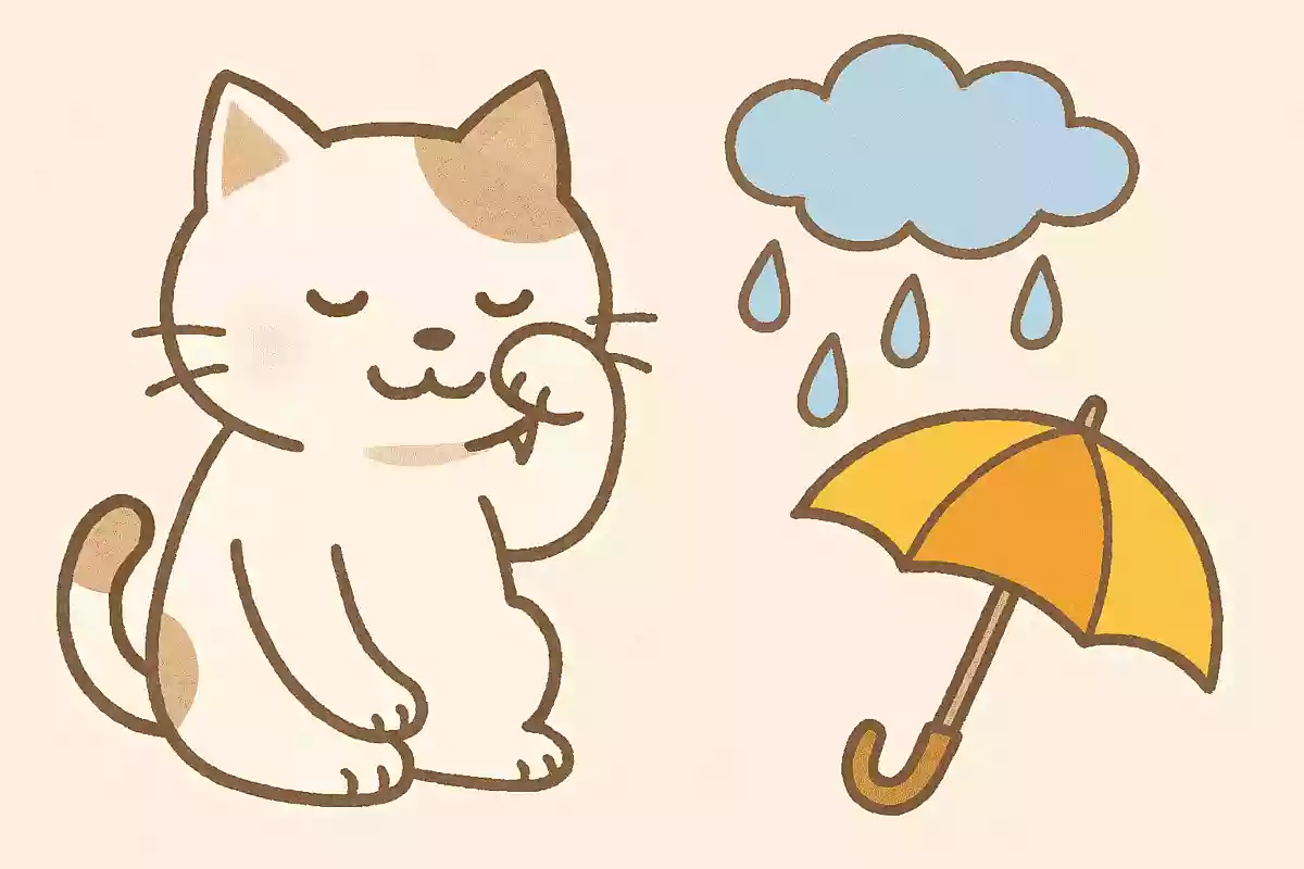 「猫が顔を洗う」と天気はどうなると言われているでしょうか
