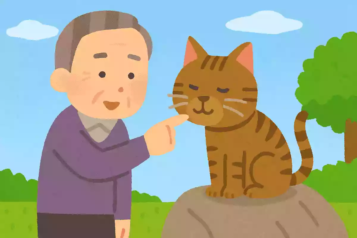 猫はどこで温度を感じているでしょうか?