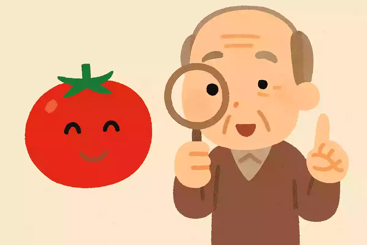 日本で最もトマトの収穫量が多いのはどの都道府県でしょうか?