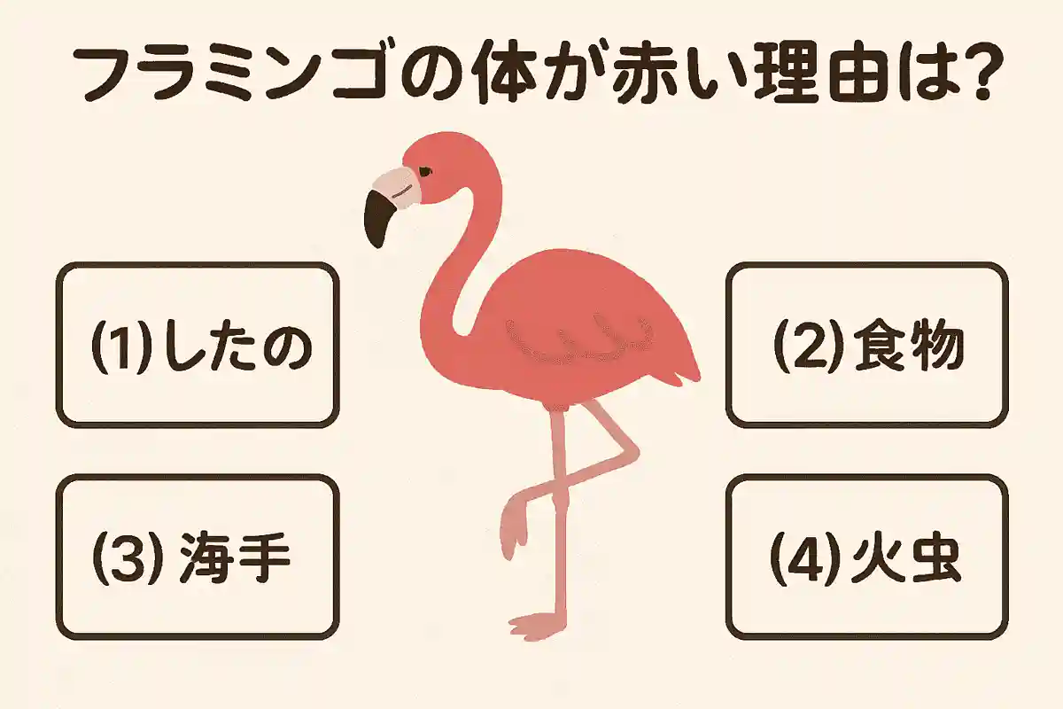 フラミンゴの体が赤い理由は？
