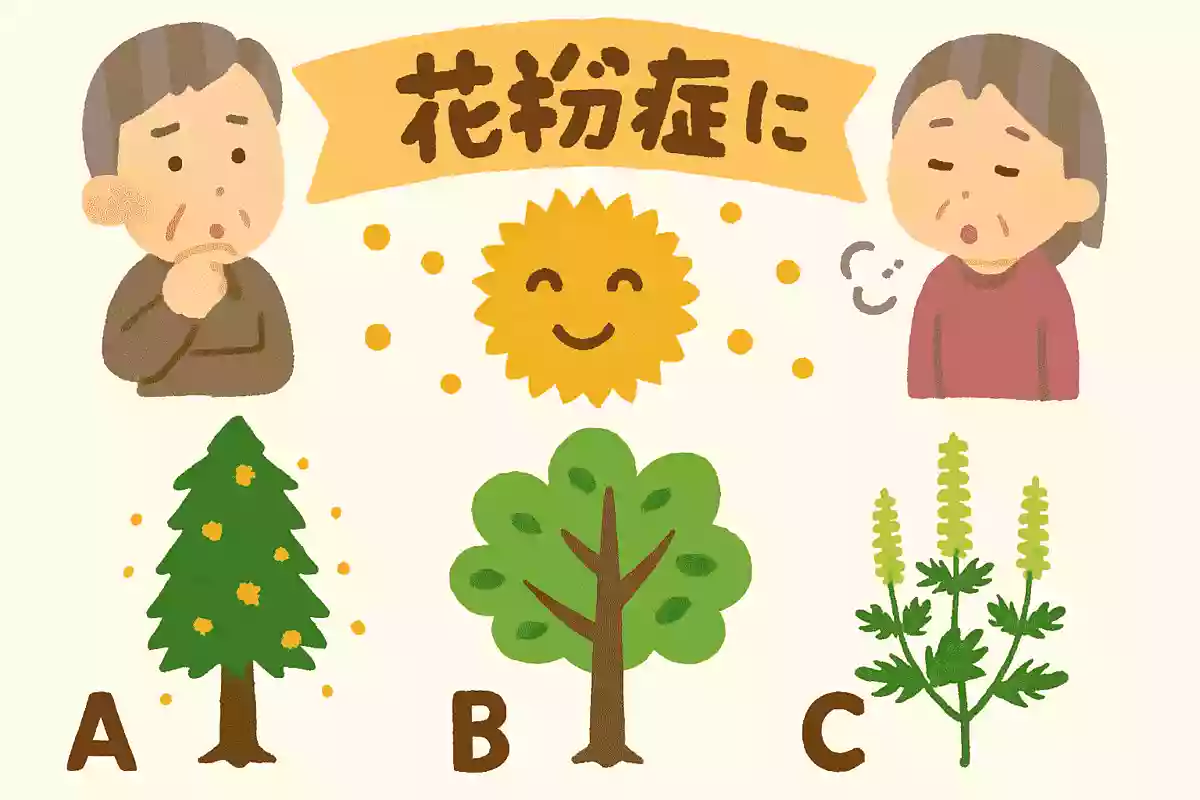 日本国内で花粉症の主な原因となっている植物は、次のうちどれでしょうか？