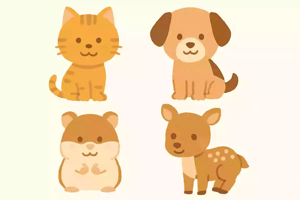 かわいい動物といえば?