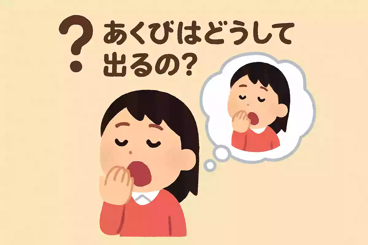あくびはどうして出るの?