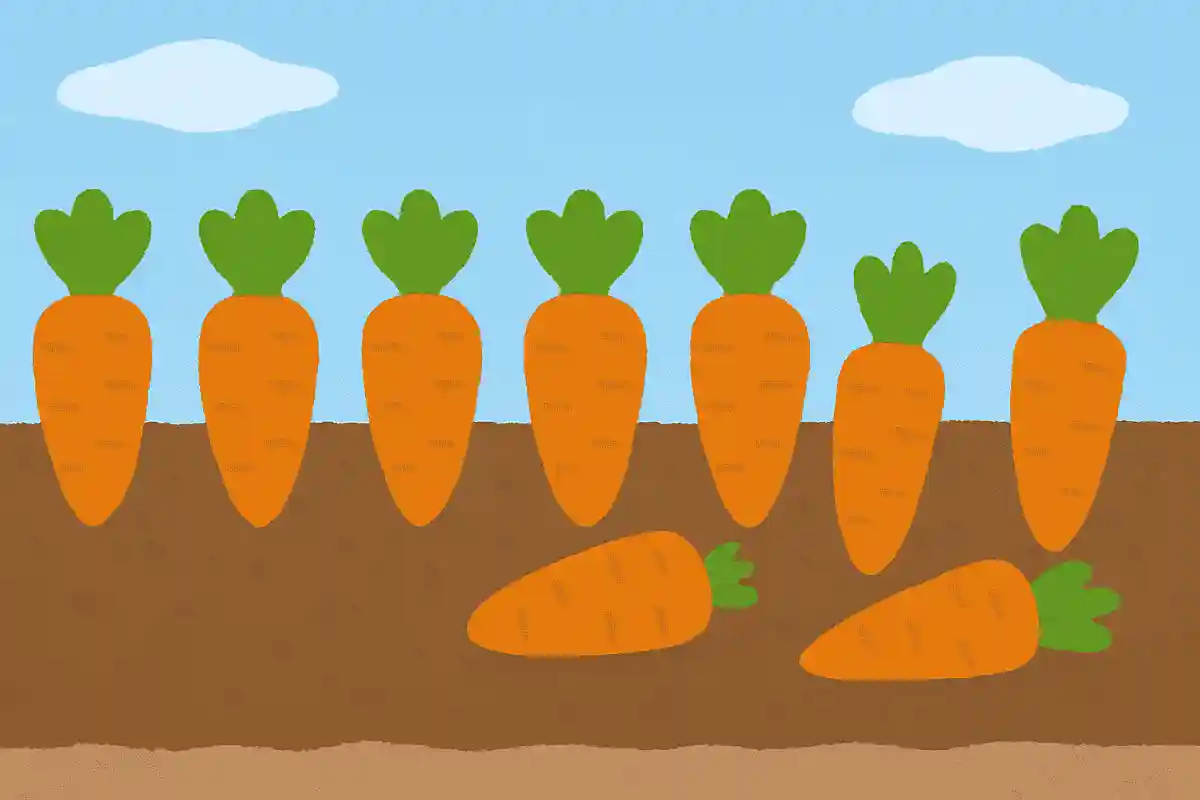 10本なっているにんじんを3本抜いたらあとはいくつでしょう?