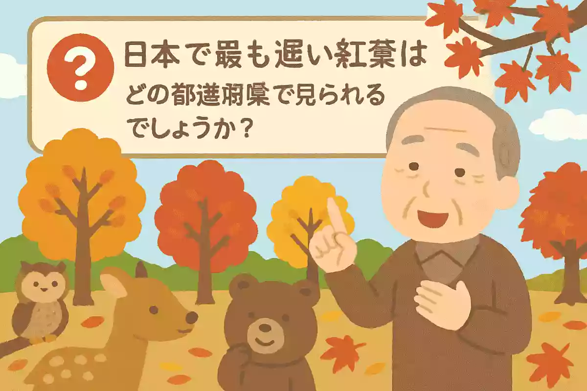 日本で最も遅い紅葉はどの都道府県で見られるでしょうか?