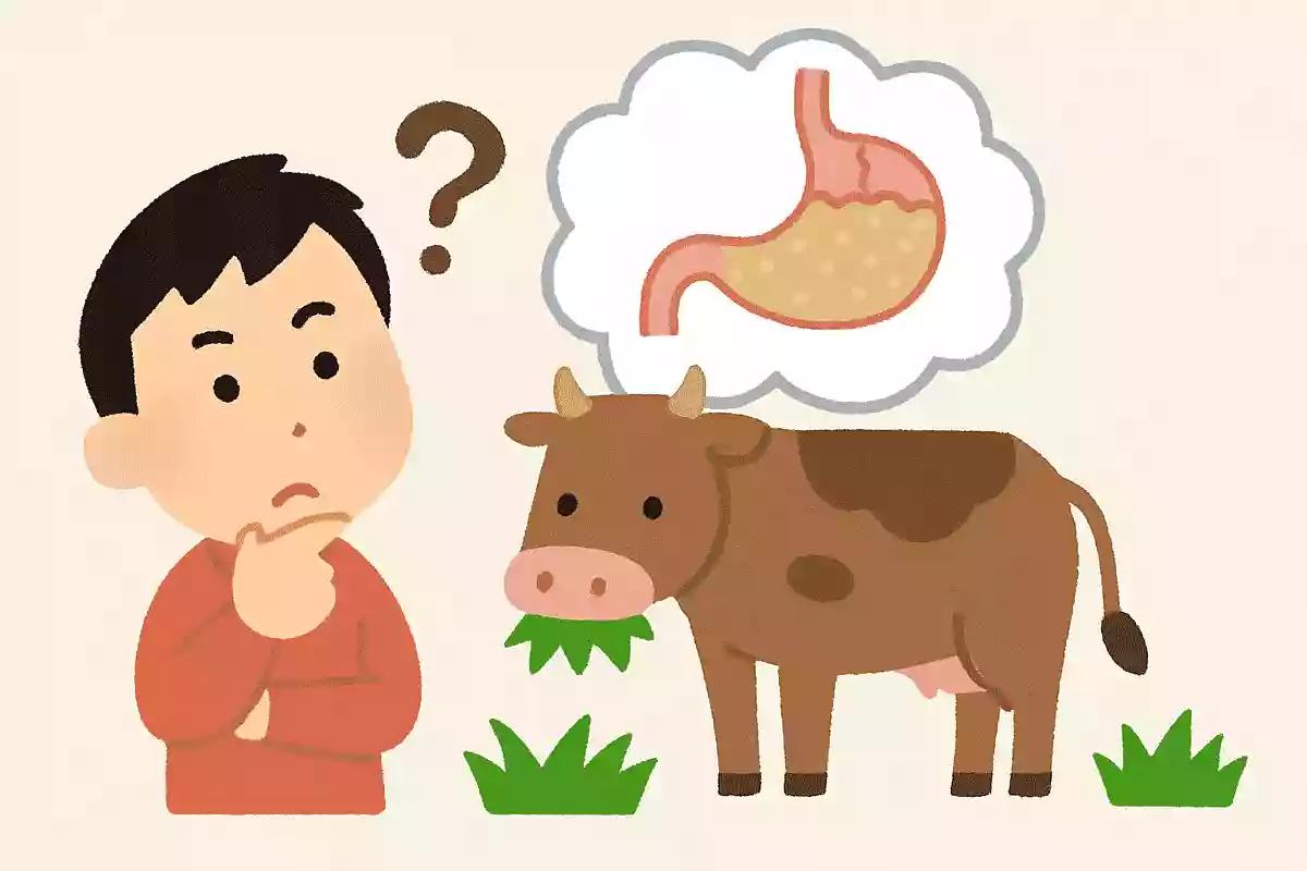 草食動物はどうして草だけ食べて生きられるの?