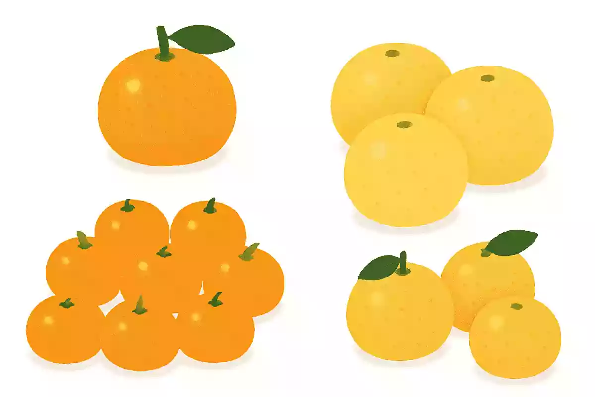 みかん、はっさく、グレープフルーツをプレゼントにもらいましたが、1番数が多いのはどれ?