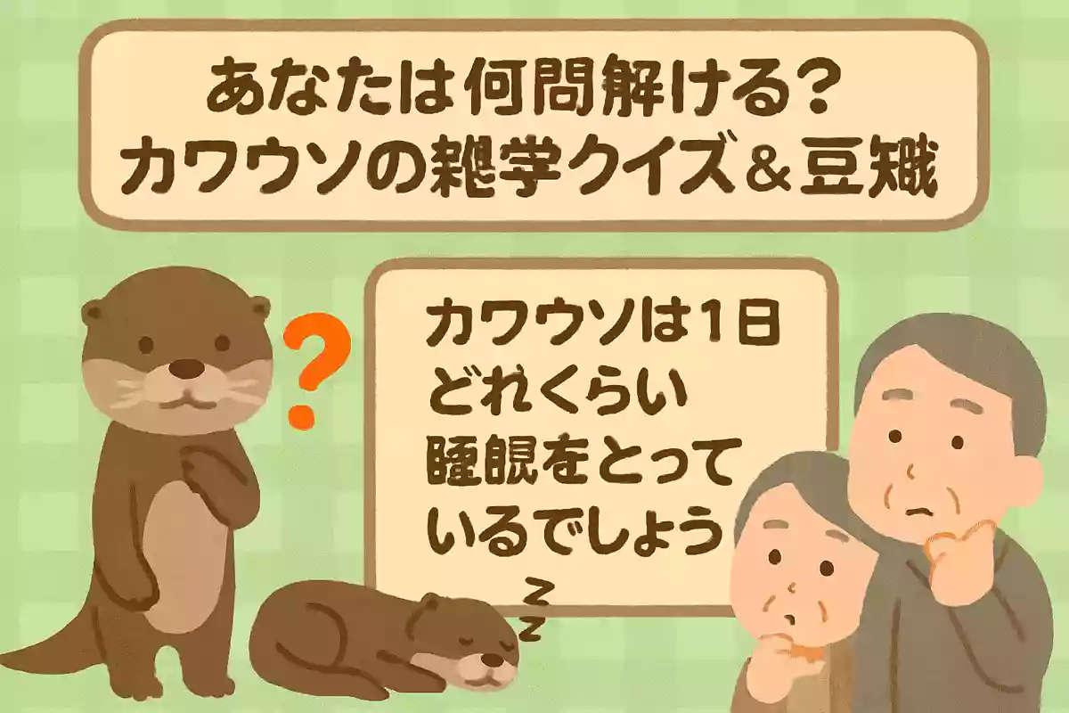 カワウソは1日にどれくらい睡眠をとっているでしょうか?