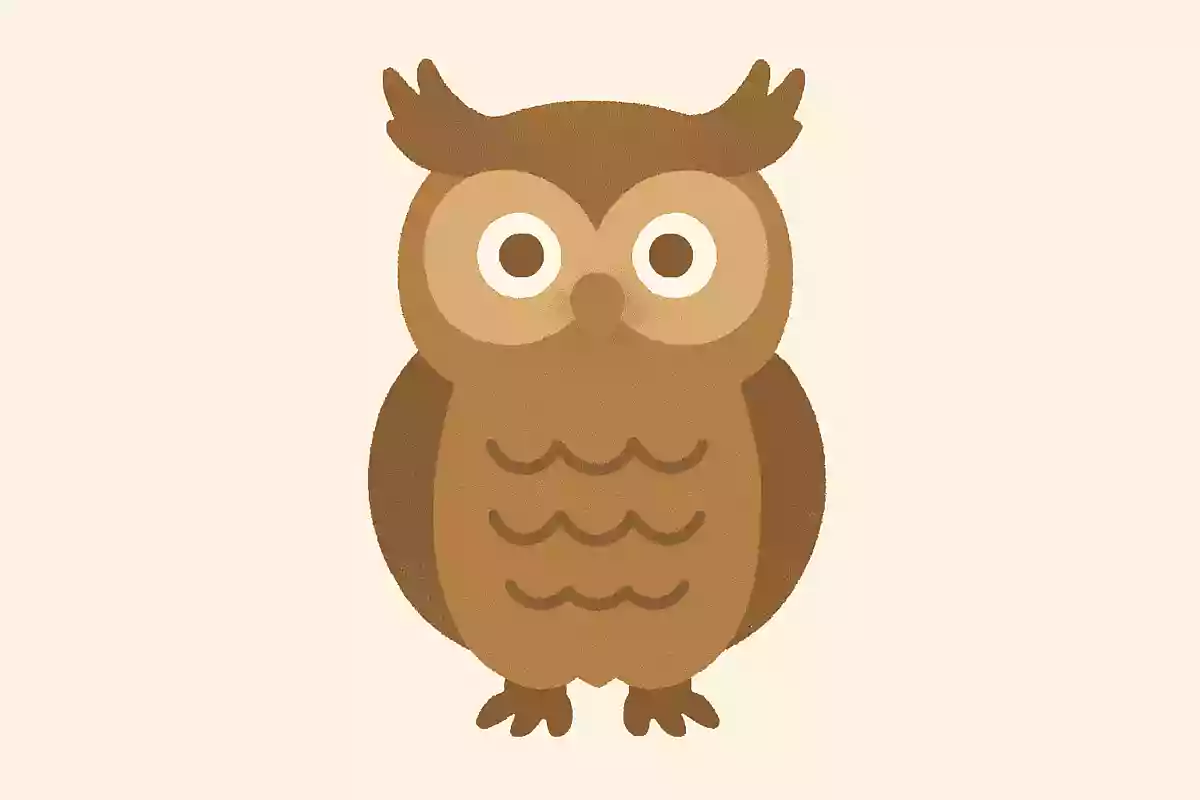 フクロウに耳はあるでしょうか?NEW!