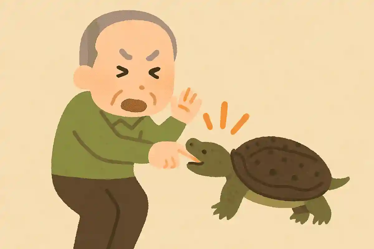 すっぽんに噛まれてしまうと、なかなか離してくれません。どうすれば離してくれるでしょうか?