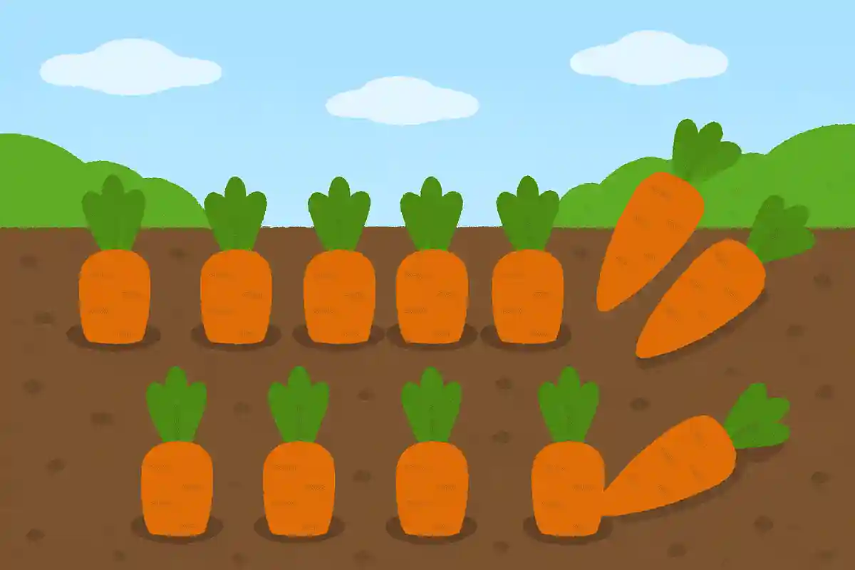 10本実ったにんじんを3本抜いたらあとはいくつ？