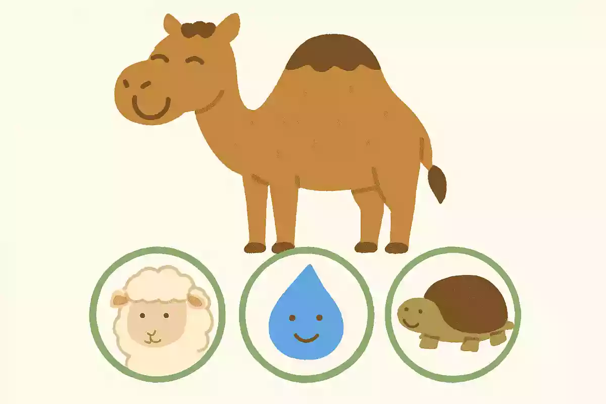 【高齢者向け】おもしろい動物3択クイズ！驚きと発見の問題をご紹介