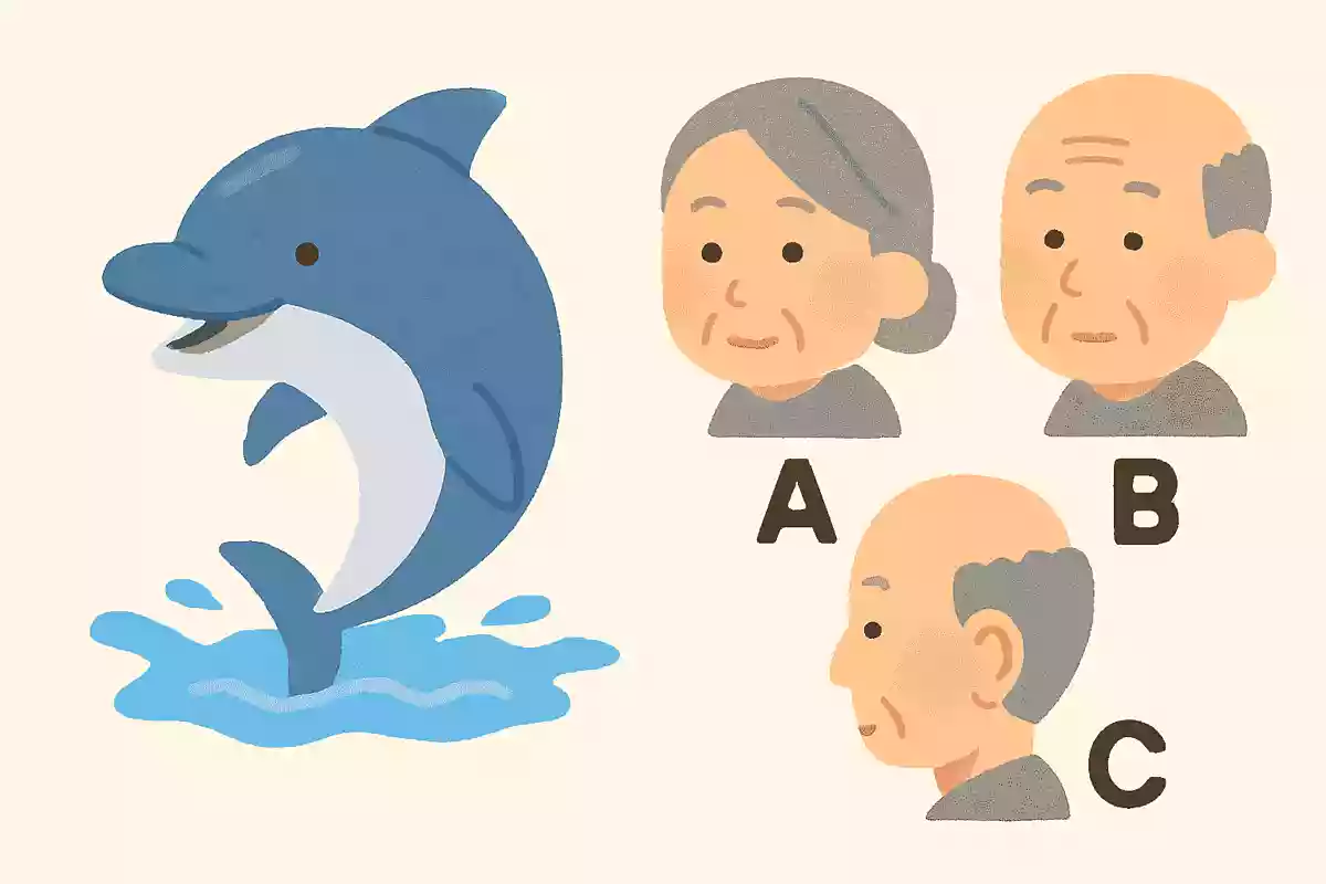 イルカの頭の上にある穴は、人間でいうどの部分にあたるでしょうか?NEW!
