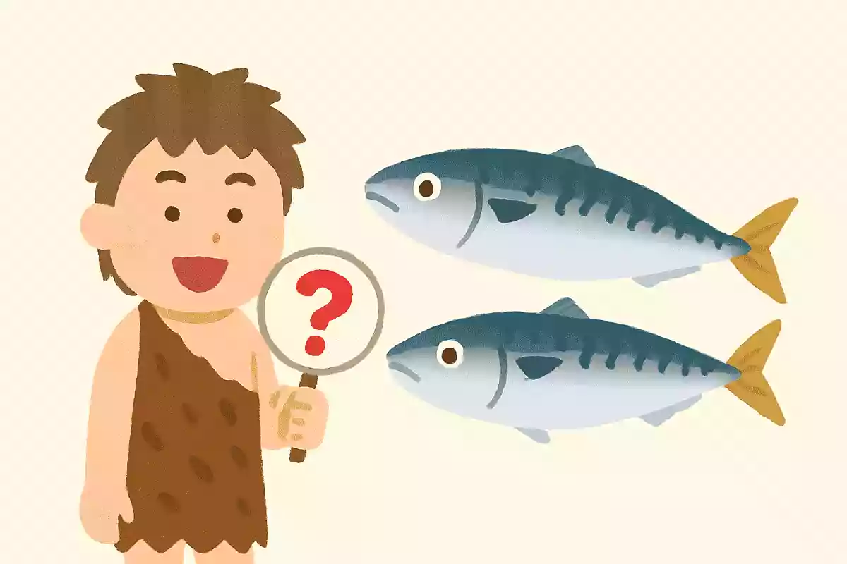 福岡の郷土料理である胡麻鯖に使われるサバの種類は?NEW!