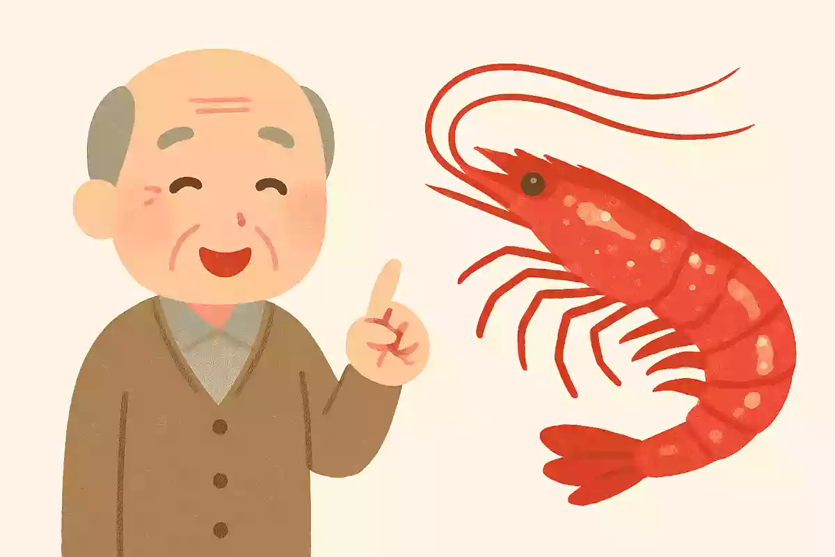 静岡県の駿河湾で多く漁獲され、その美しさから「海の宝石」とも称される海産物は何でしょう?
