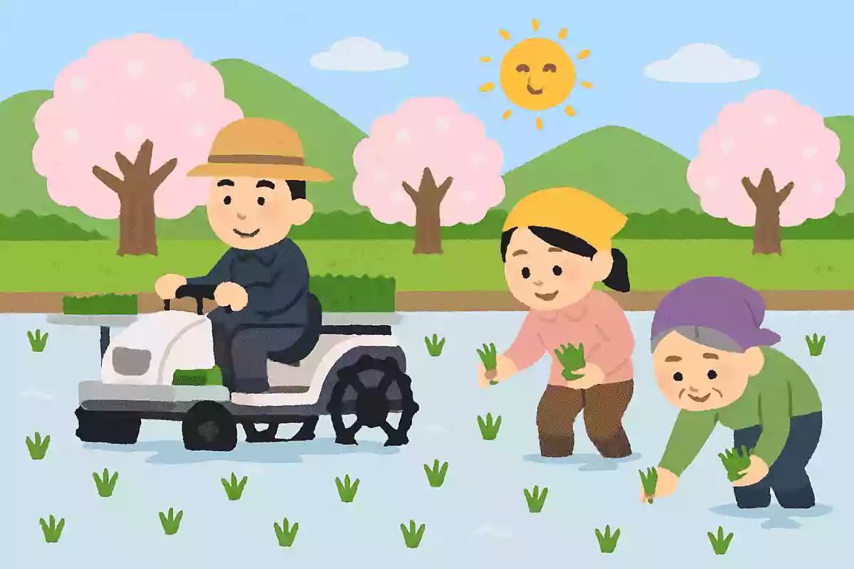 田植えをおこなう季節はいつ頃でしょうか？NEW!