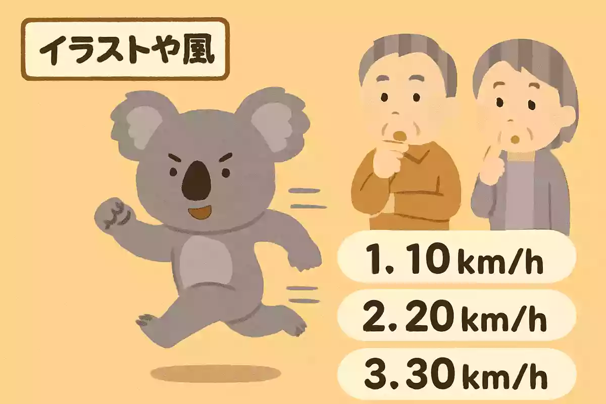 コアラはのんびりしたイメージがありますが、実は走ることもできます。さて、コアラが走るときの最高速度は次のうちどれでしょう？NEW!