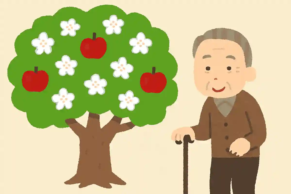 青森県の天然記念物にも指定されているりんごの木は、いつ頃に植えられたものでしょうか？