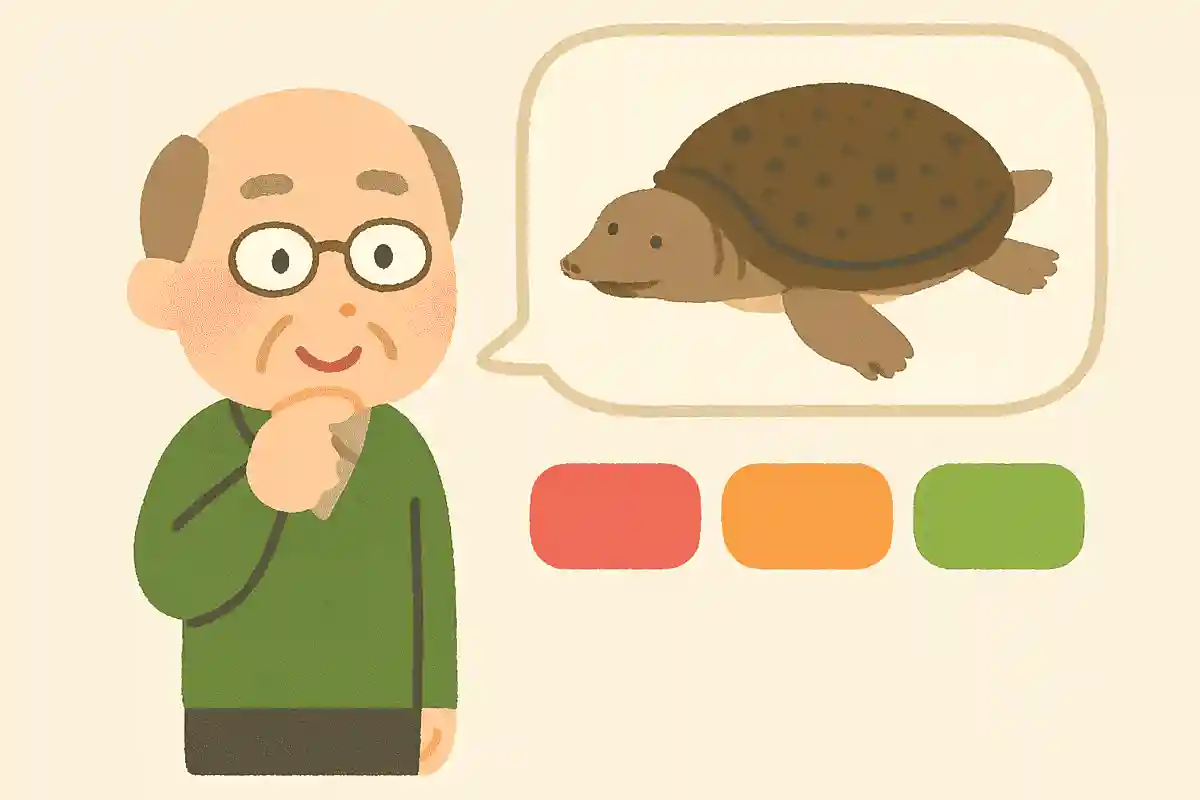 すっぽんの性格として正しいのは、次のうちどれでしょうか?