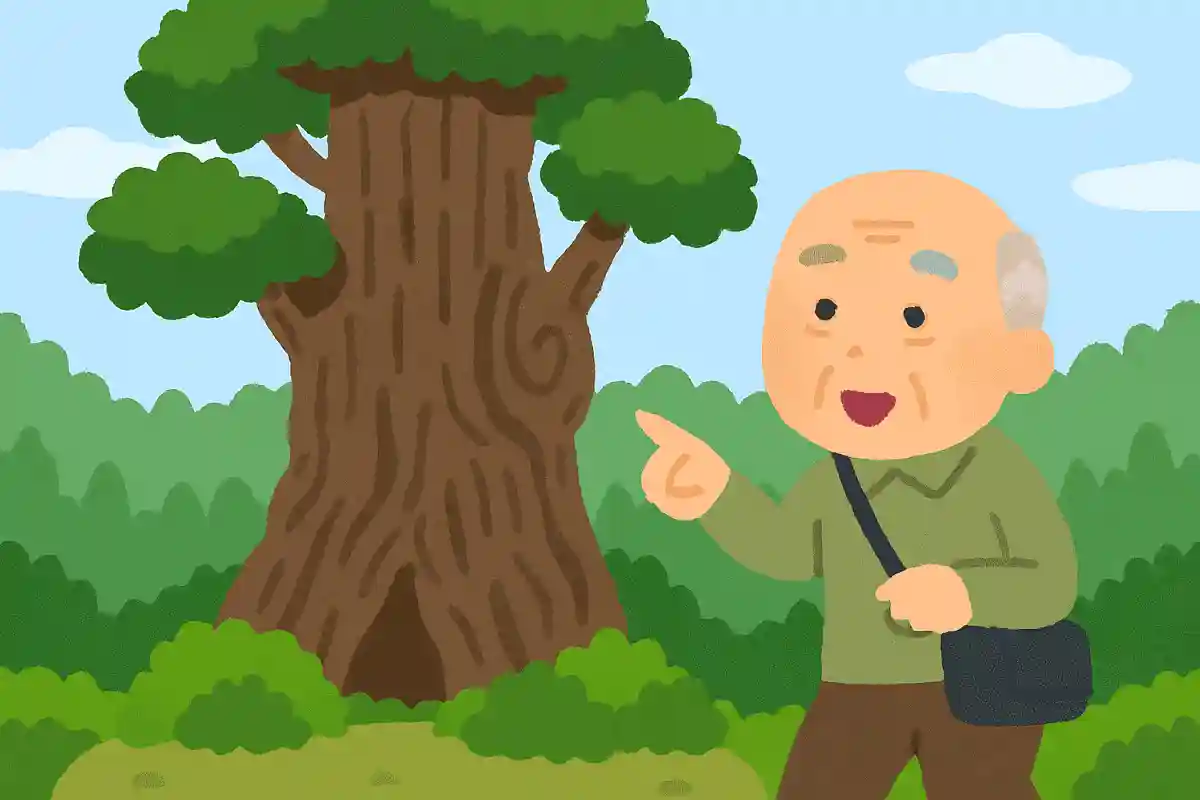 屋久島に自生する、日本最大のスギの名前は何でしょうか?