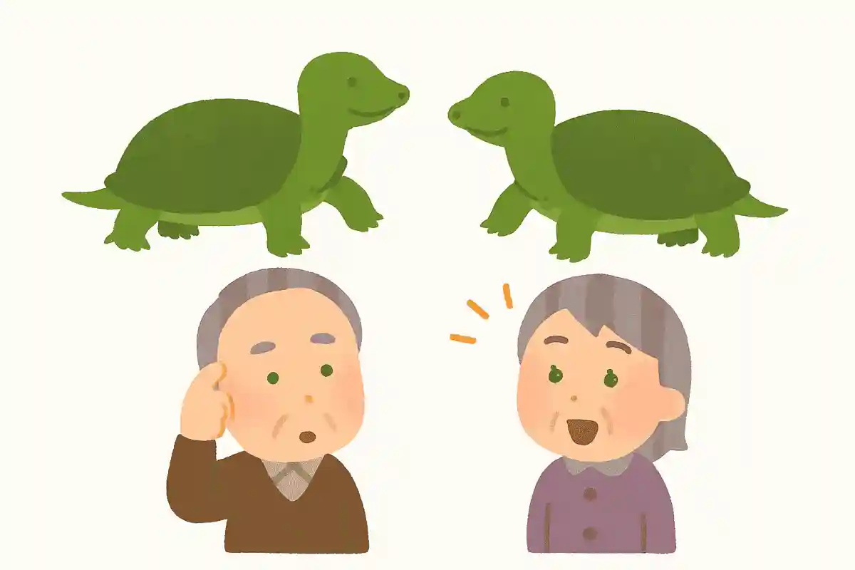 すっぽんの雄と雌の体の違いは何でしょうか?