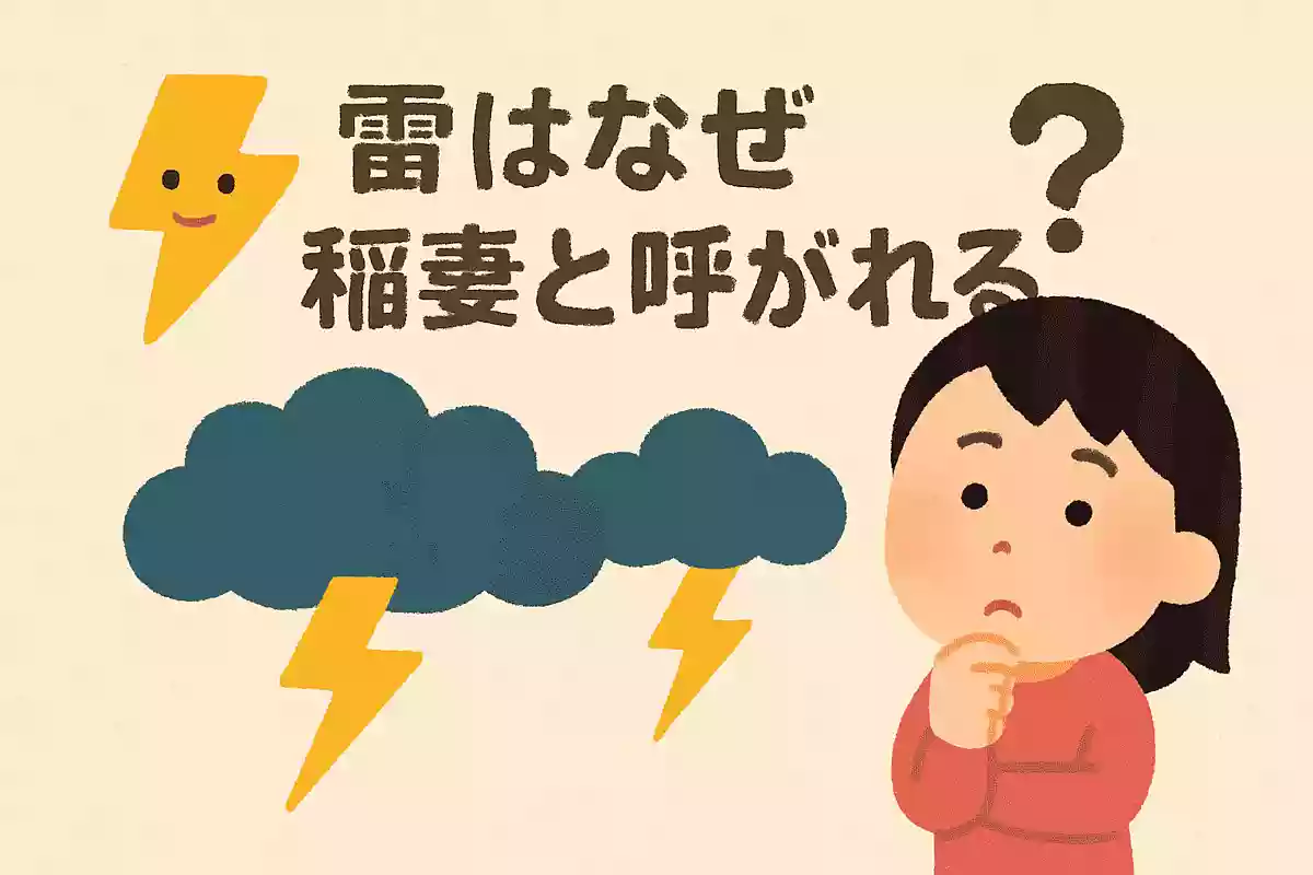 雷はなぜ稲妻と呼ばれることがあるのでしょうか?NEW!
