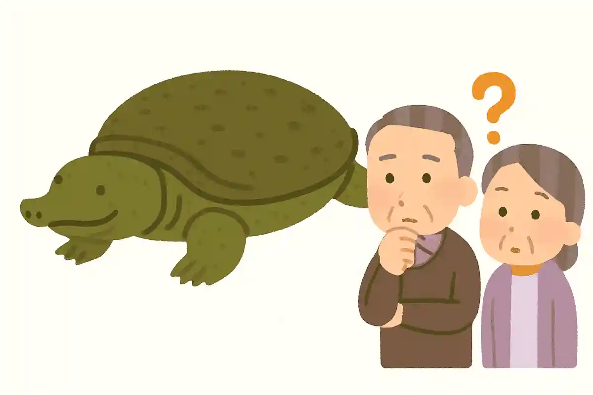 天然のすっぽんの寿命はどれくらいでしょうか?