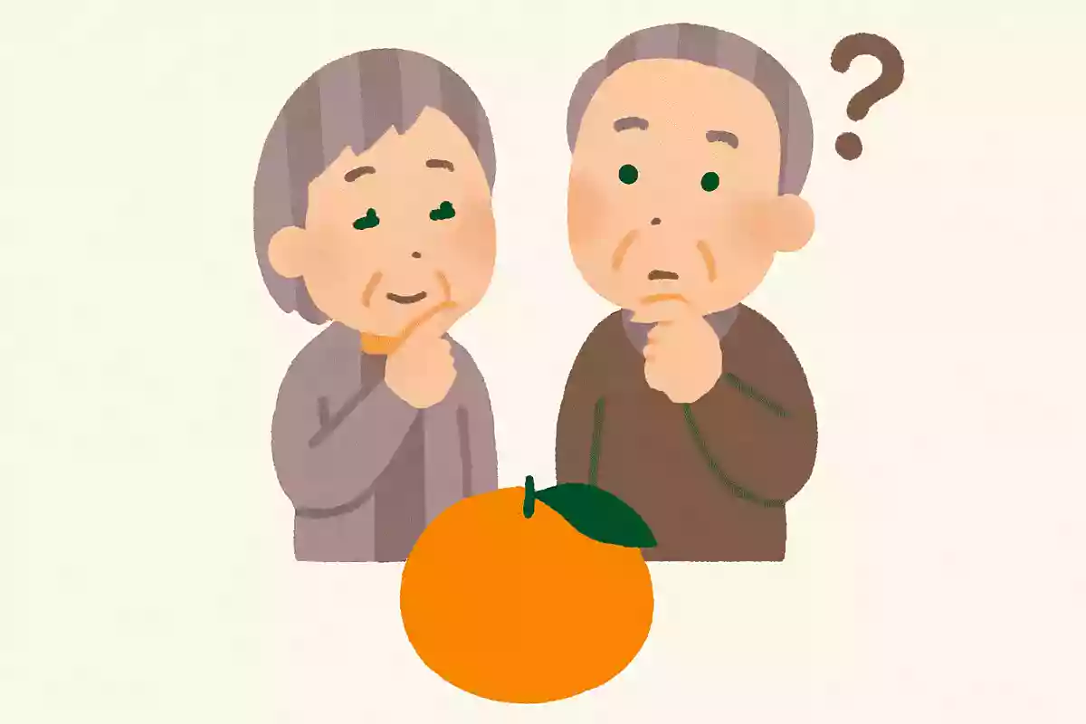 静岡県三ヶ日はある果物の名産地して有名です。その果物とは何でしょうか?