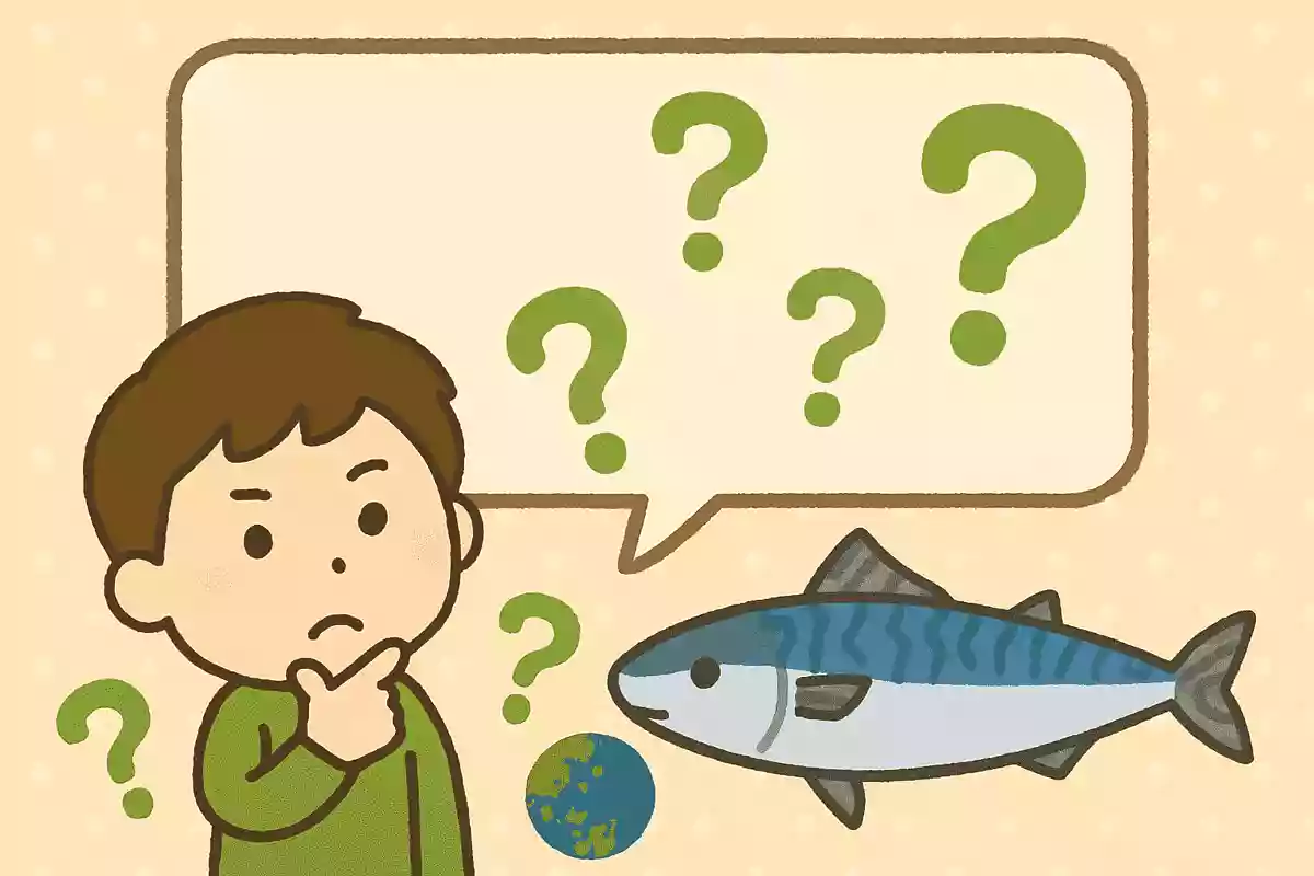 日本に輸入されるサバの9割はどこ産でしょう?NEW!
