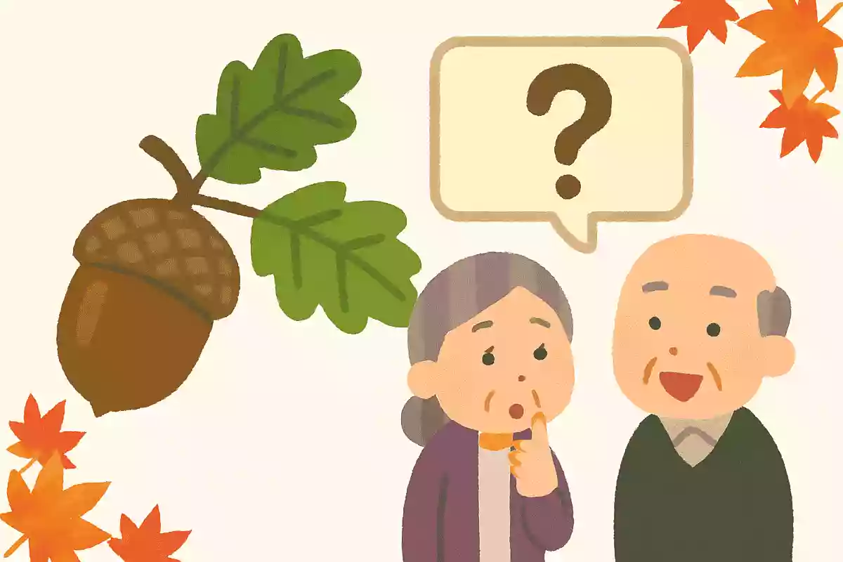 どんぐりは何の木からできるでしょうか?NEW!