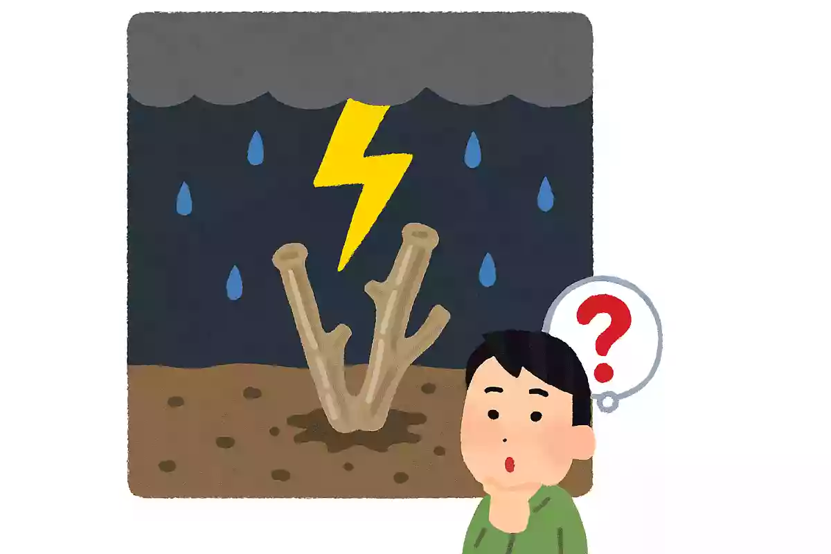 雷が地面に落ちた際にできる天然のガラス管のことを何と呼ぶでしょう?NEW!