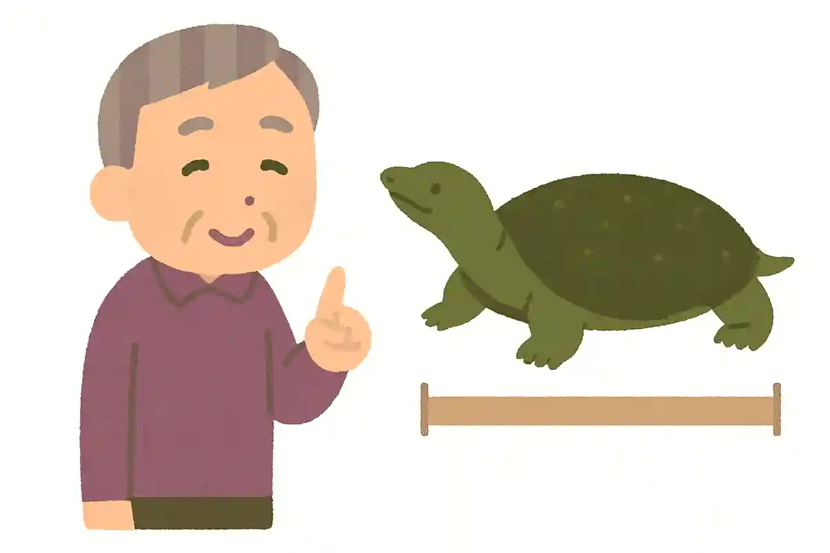 成長したすっぽんの大きさは、通常でどれくらいでしょうか?