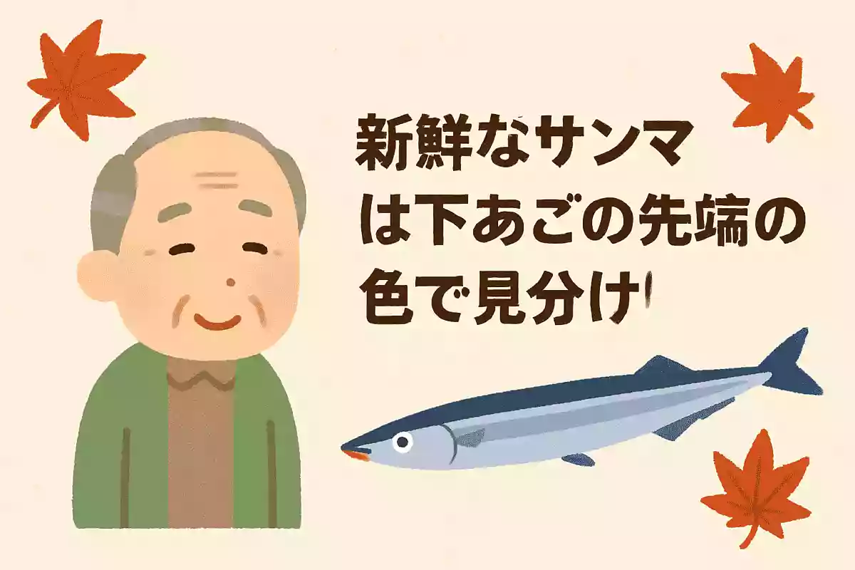 新鮮なサンマは下あごの先端の色で見分けられます。何色が良いとされているでしょうか?NEW!