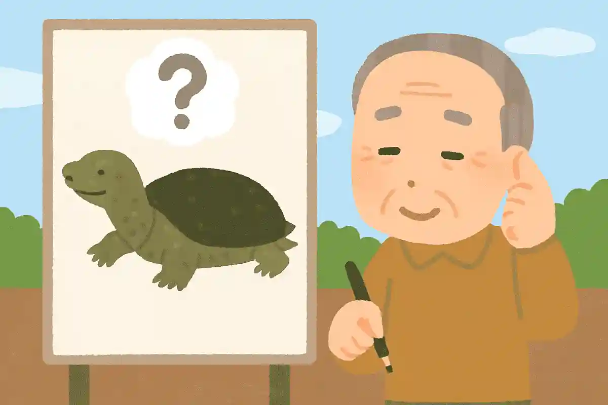 すっぽんの主な食べ物は何でしょうか?