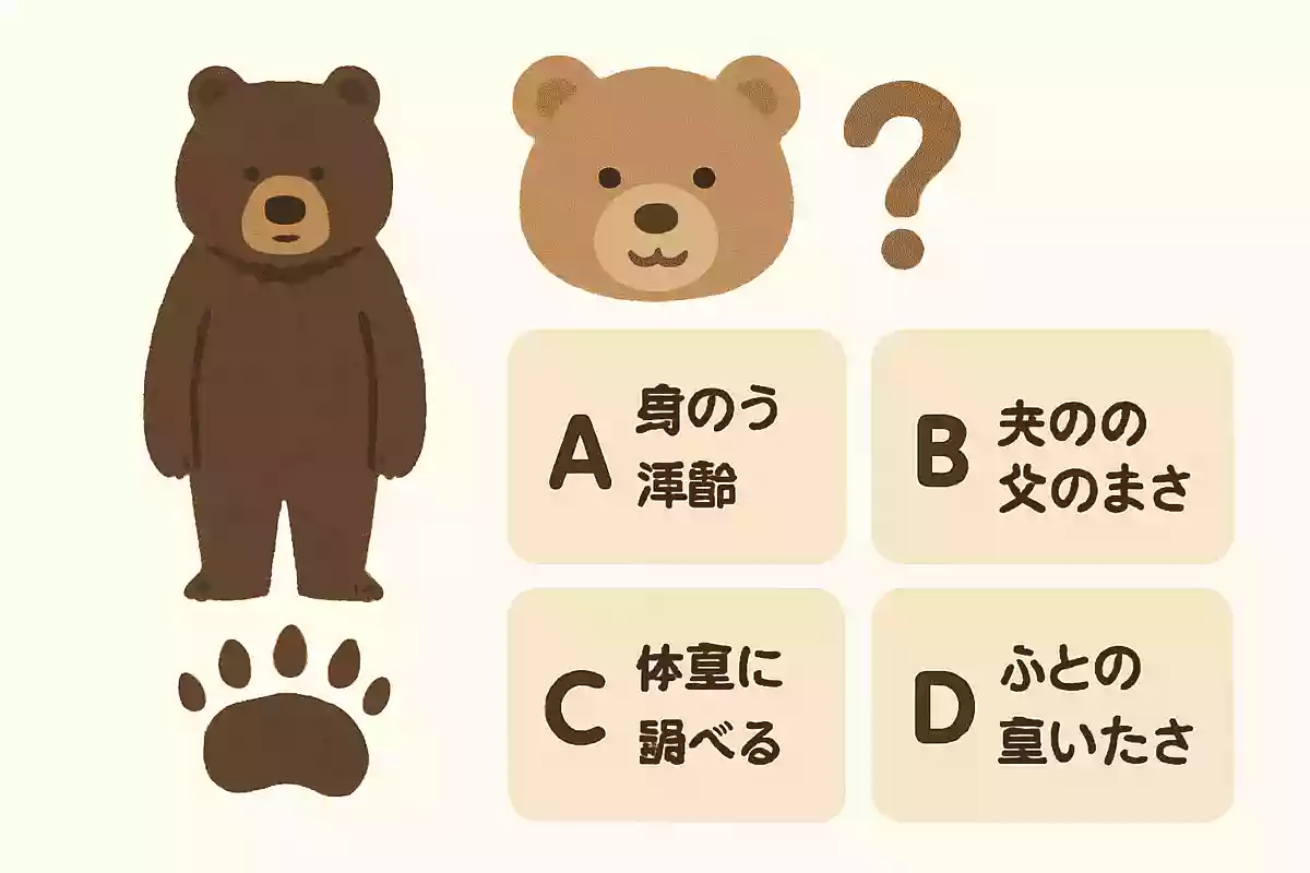 ヒグマの足跡から分かることは、次のうちどれでしょうか?NEW!