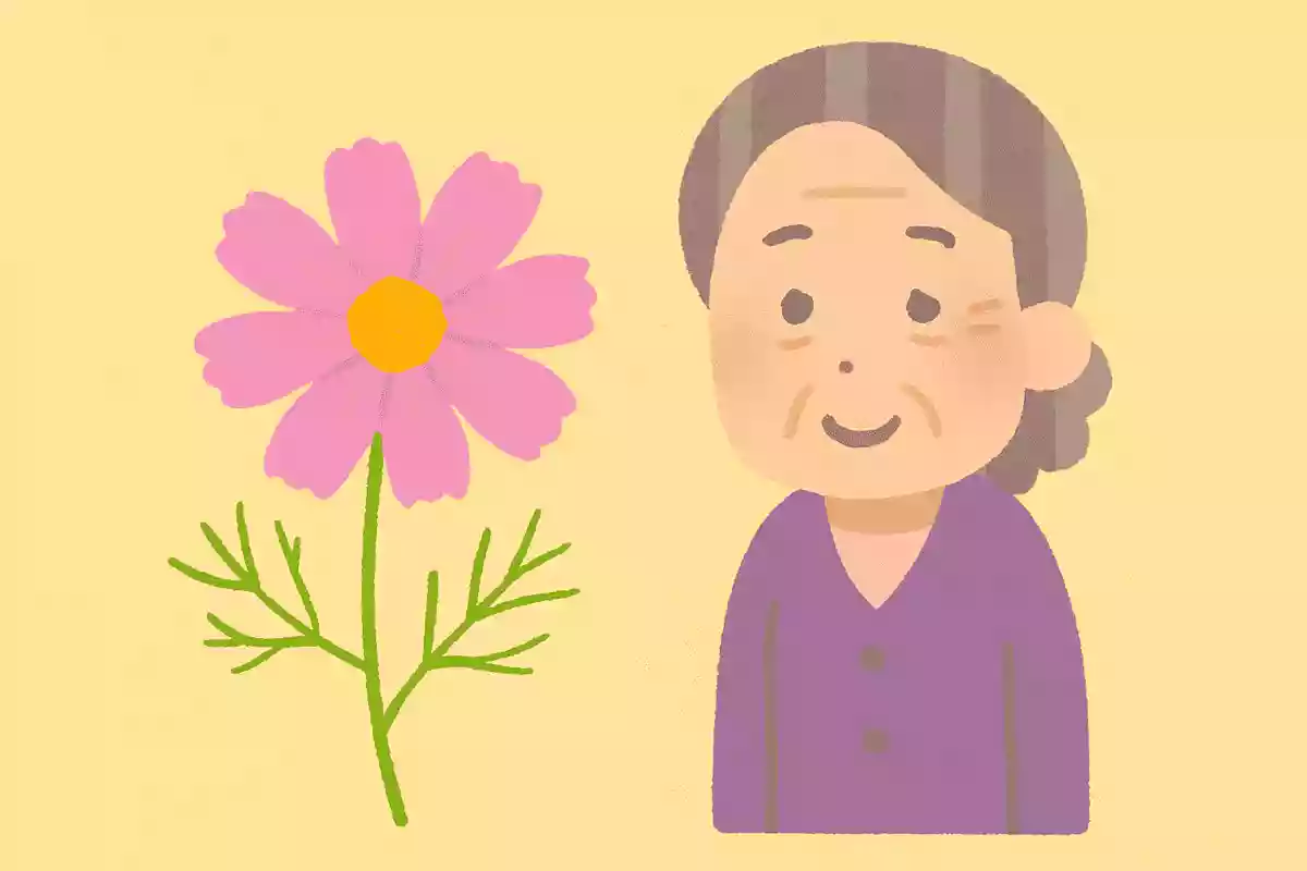 秋の花である「コスモス」、漢字ではどのように書くでしょうか?NEW!